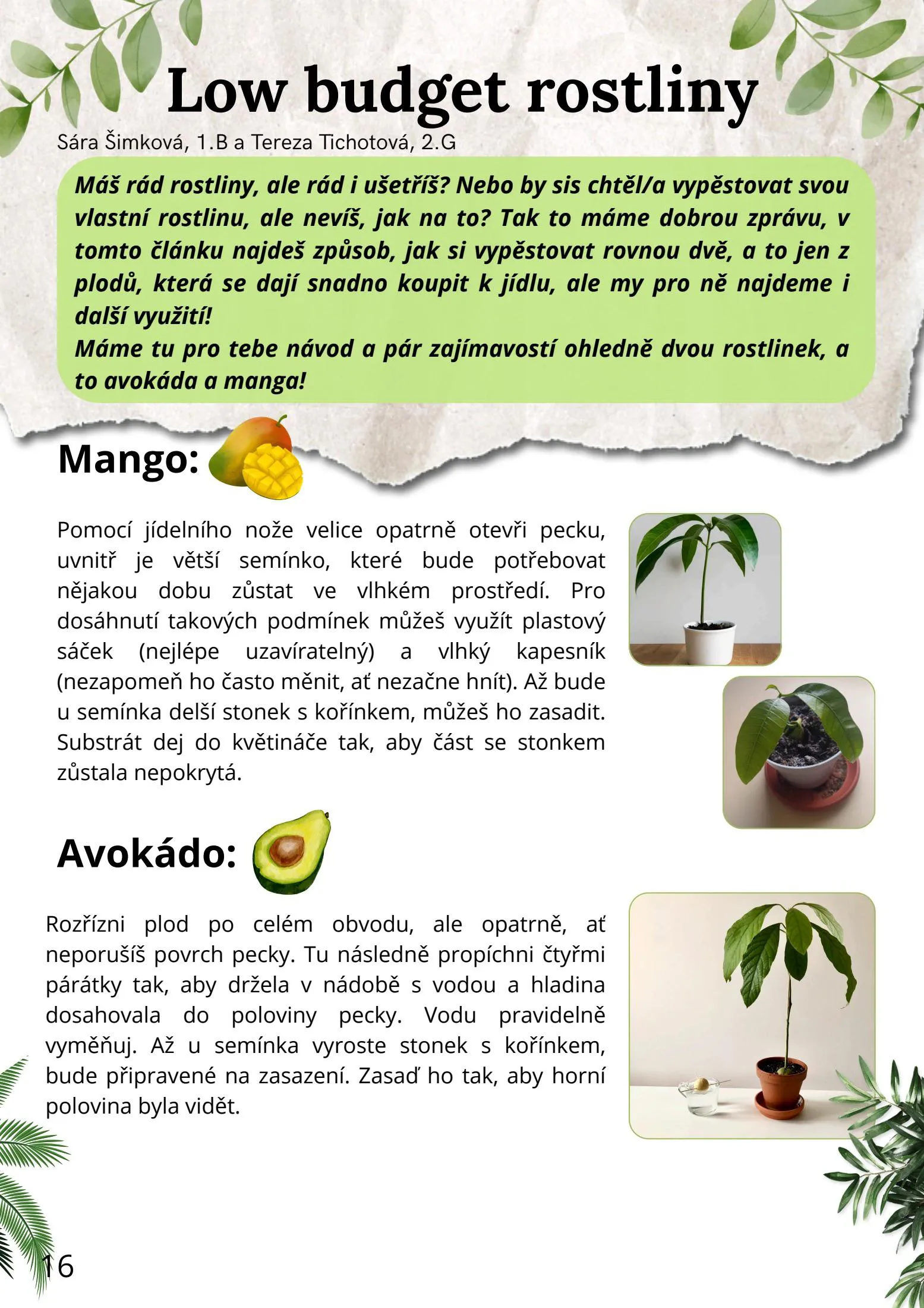 Page 16