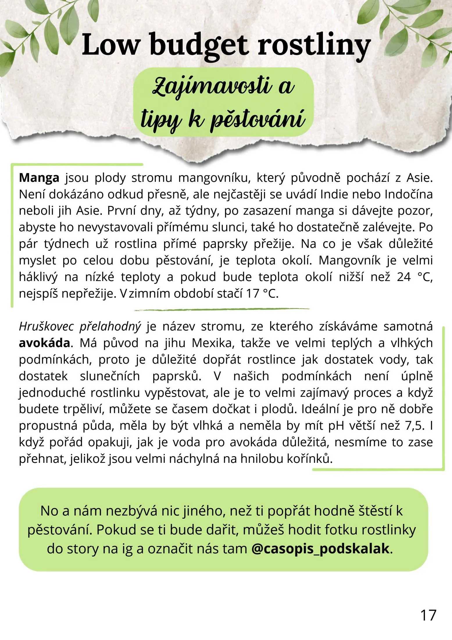 Page 17