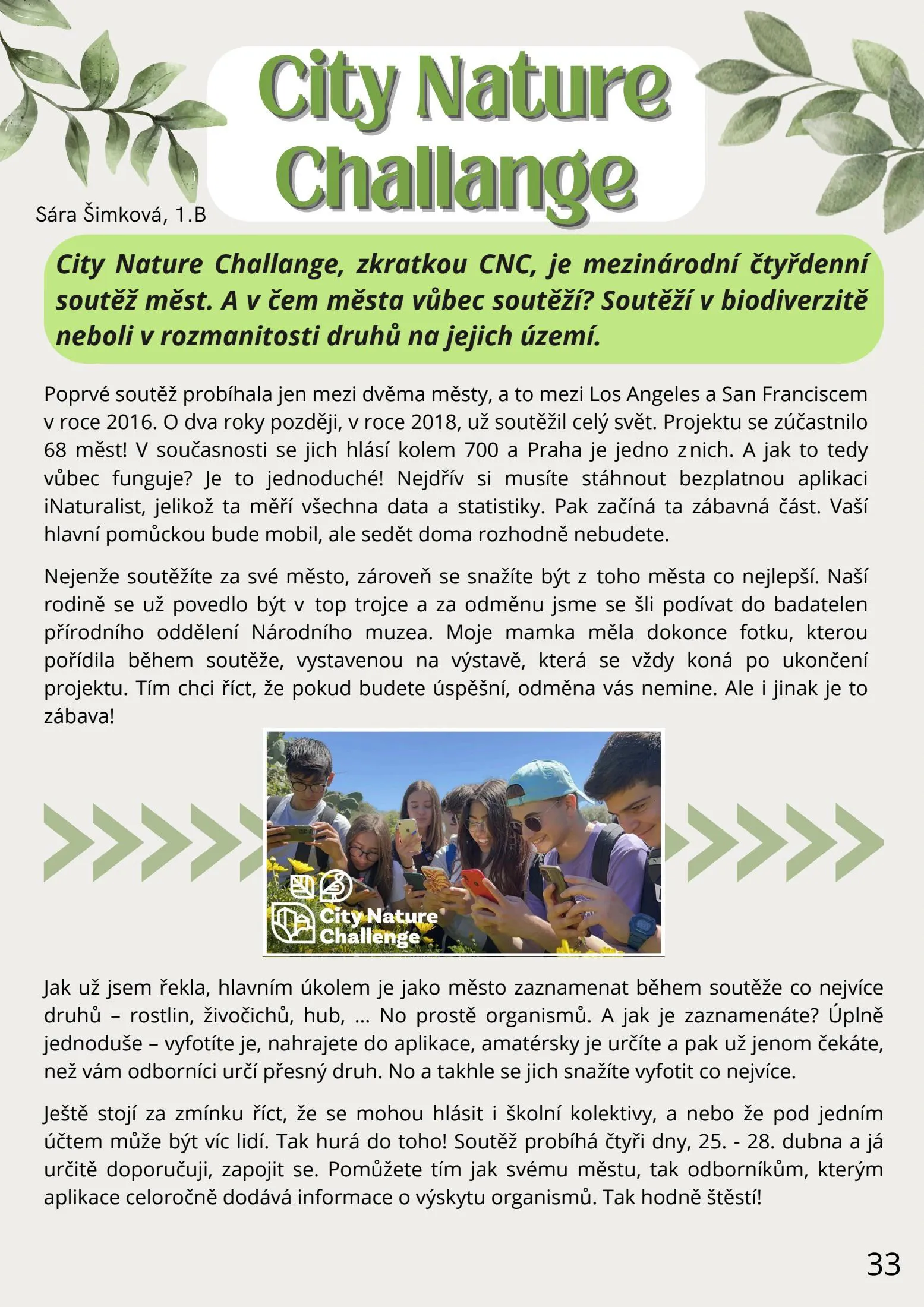 Page 33