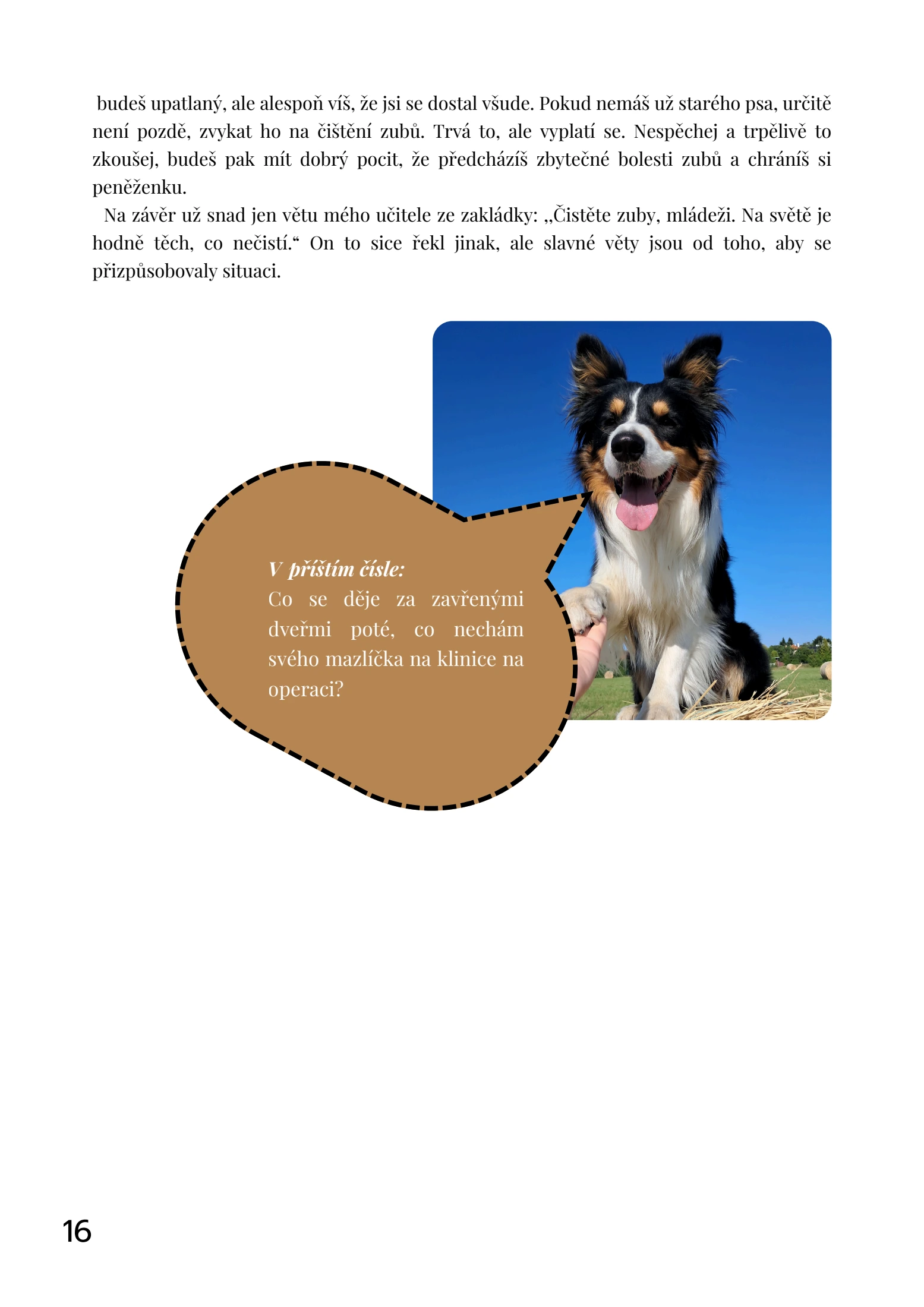 Page 16