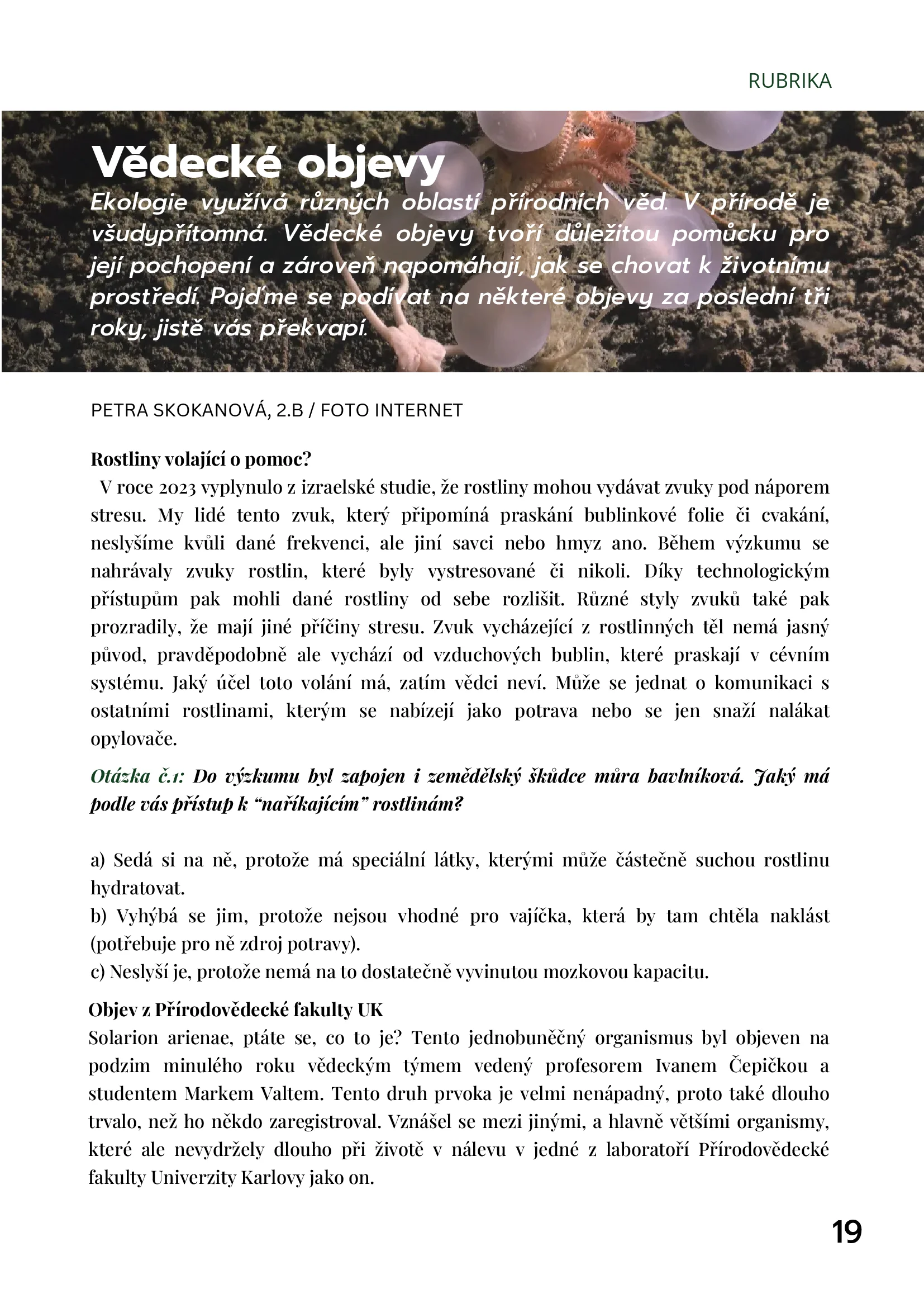 Page 19